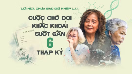 Khi cuộc khai quật tại Công viên Lê Thị Riêng bắt đầu, những người đã chờ đợi gần 60 năm bỗng có thêm một lý do để hy vọng.