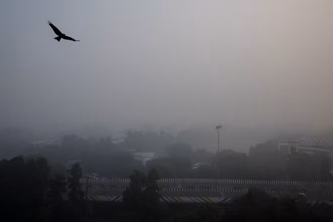 Trước tình trạng ô nhiễm không khí ngày càng nghiêm trọng tại Delhi, Chính phủ Ấn Độ đã quyết định cấm toàn bộ các công trình xây dựng không cần thiết; đồng thời kêu gọi người dân tránh đốt than để sưởi ấm. (Ảnh: Reuters)