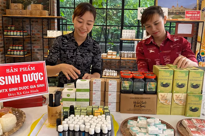 Sản phẩm OCOP của Hợp tác xã Sinh Dược ở Ninh Bình được nhiều người tiêu dùng trong nước ưa chuộng. (Ảnh: Lê Hồng)