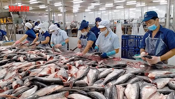 [Video] Năm thị trường xuất khẩu hải sản lớn nhất của Việt Nam