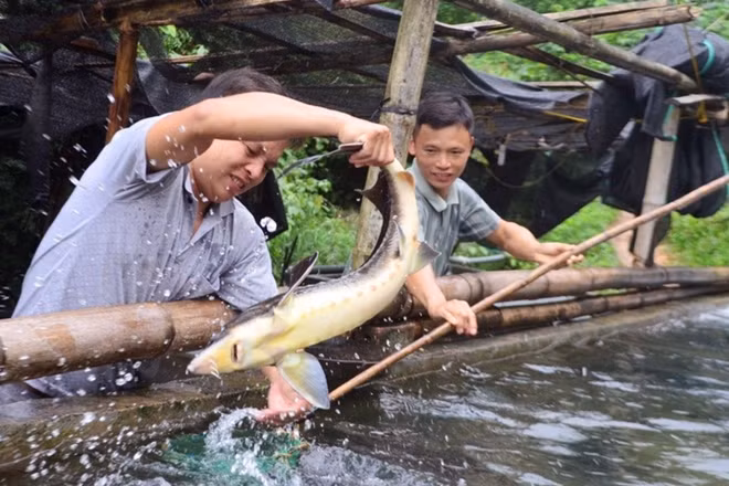 Ảnh: Báo Dân tộc và phát triển
