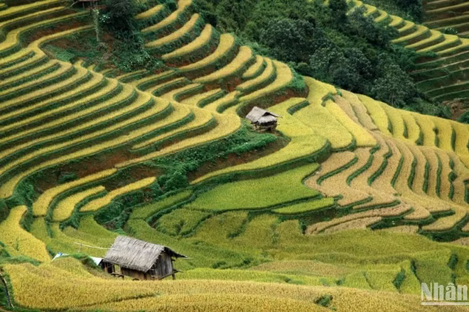 Xây dựng chiến lược tổng thể cho thương hiệu du lịch văn hóa dân tộc thiểu số. 