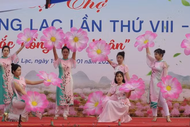 Khai mạc Hội chợ hoa đào xã Quảng Lạc, thành phố Lạng Sơn (Lạng Sơn) lần thứ 8.