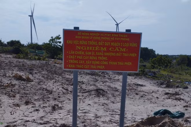 Đất rừng của huyện Tuy Phong.