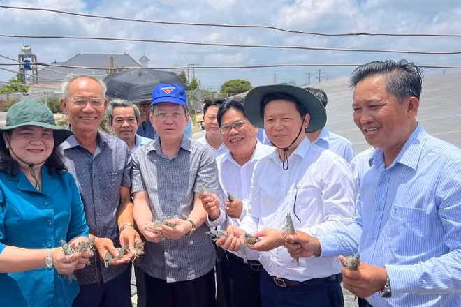 Trung ương Hội Nông dân Việt Nam cùng lãnh đạo chính quyền địa phương tham quan mô hình nuôi tôm công nghệ cao của Câu lạc bộ nông dân tỷ phú huyện Thạnh Phú.