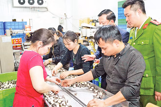 Các cơ quan chức năng kiểm tra một cơ sở sản xuất bánh kẹo tại thành phố Hà Nội. 