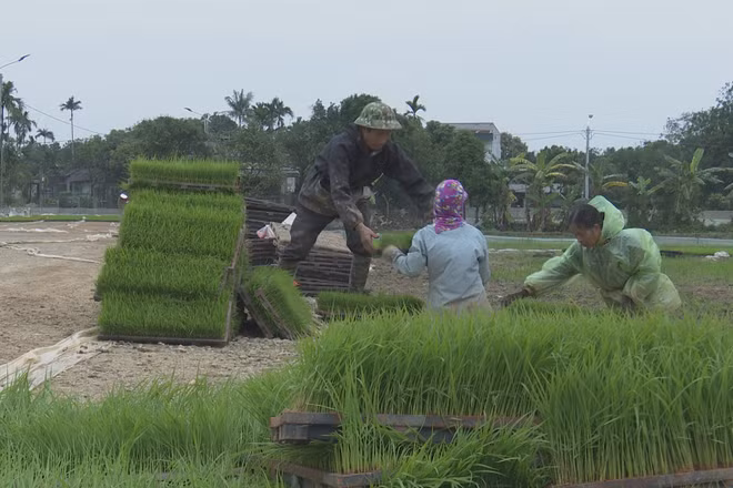 Lựa chọn các mô hình hợp tác xã, liên hiệp hợp tác xã hoạt động hiệu quả để nhân rộng. (Ảnh: Báo Nhân Dân)