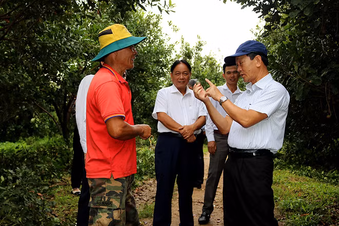 Đồng chí Dương Văn Trang (người ngoài cùng bên phải) thăm mô hình trồng cây mắc-ca tại huyện Kon Rẫy. 