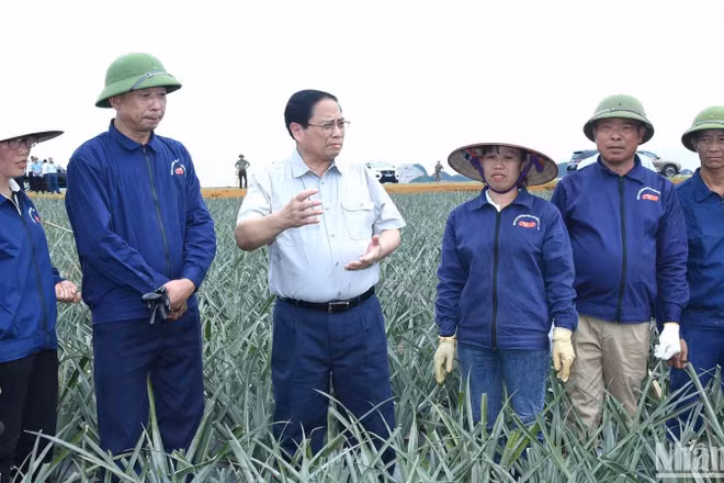 Thủ tướng Phạm Minh Chính thăm, nói chuyện với công nhân Công ty cổ phần Thực phẩm xuất khẩu Đồng Giao tại cánh đồng dứa nguyên liệu. 