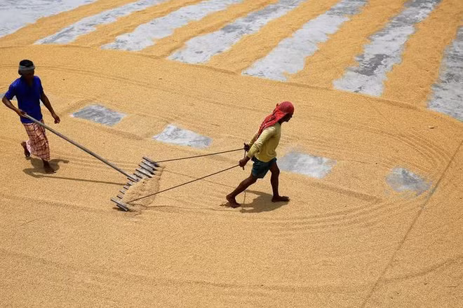 Ảnh minh họa. Nguồn: Reuters
