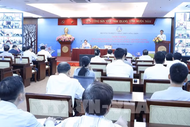 Quang cảnh hội thảo. (Ảnh: TTXVN)