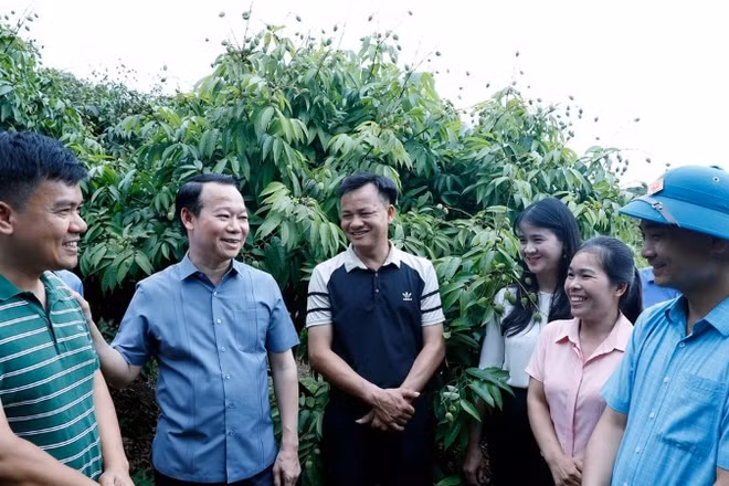 Bộ trưởng Nông nghiệp và Môi trường Đỗ Đức Duy trao đổi với chủ vườn vải, cán bộ khuyến nông, doanh nghiệp thu mua vải thiều tại huyện Tân Yên, tỉnh Bắc Giang. (Ảnh: KHƯƠNG TRUNG)