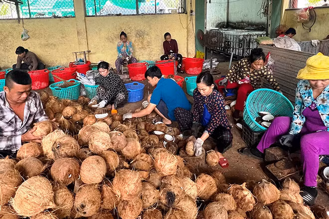 Hợp tác xã nông nghiệp Thới Thạnh (huyện Thạnh Phú) đang xây dựng mô hình kiểu mới.