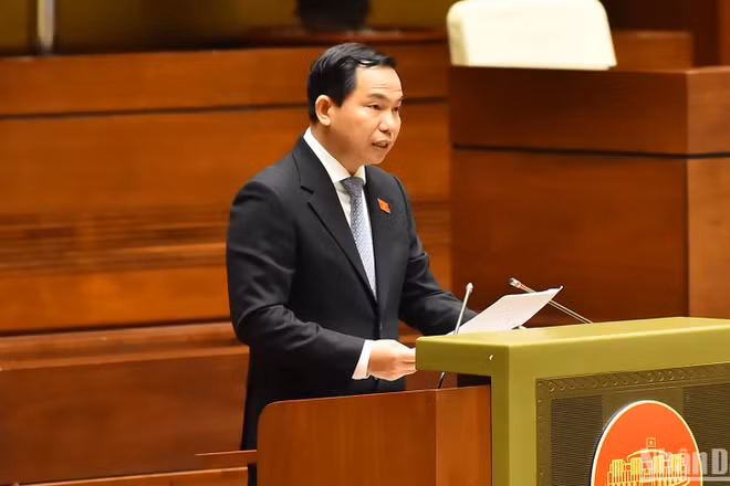 Quy định rõ phương án, nguồn lực phát triển Khu thương mại tự do Đà Nẵng