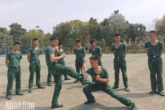Các tiểu đội thi biểu diễn võ thuật.