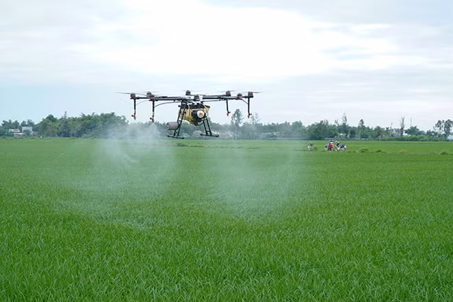 Công ty cổ phần Tập đoàn Lộc Trời cung cấp dịch vụ máy bay không người lái (drone) giúp giảm chi phí và tăng hiệu quả sử dụng thuốc bảo vệ thực vật. (Ảnh: MINH ANH)