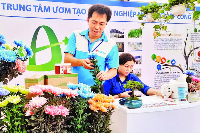 Anh Lê Trung Hiếu và các sản phẩm hoa tươi nhuộm mầu, hoa tươi sử dụng dung dịch ion đồng tại Hội chợ-Triển lãm giống, nông nghiệp công nghệ cao Thành phố Hồ Chí Minh năm 2022.