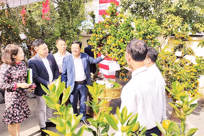 Ban Giám khảo trao đổi, thảo luận để tìm ra những tác phẩm xuất sắc trong Hội thi quất cảnh truyền thống Hà Nội 2024.