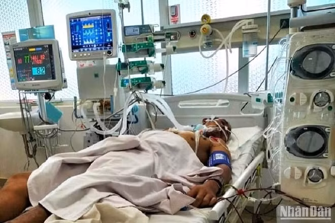 Một bệnh nhân bị ngộ độc nấm được điều trị tại Bệnh viện đa khoa vùng Tây Nguyên.