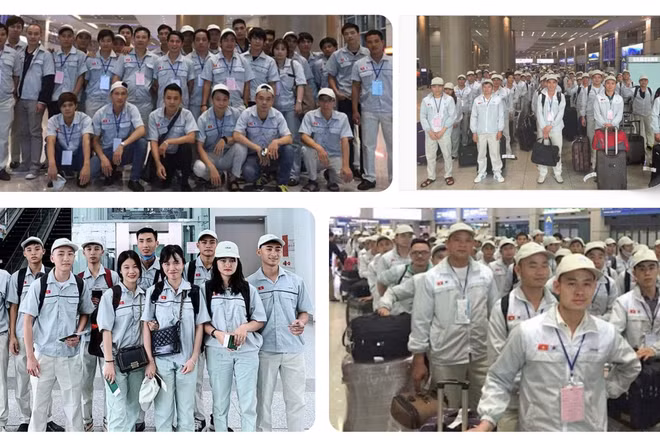 Mở rộng thị trường lao động ngoài nước