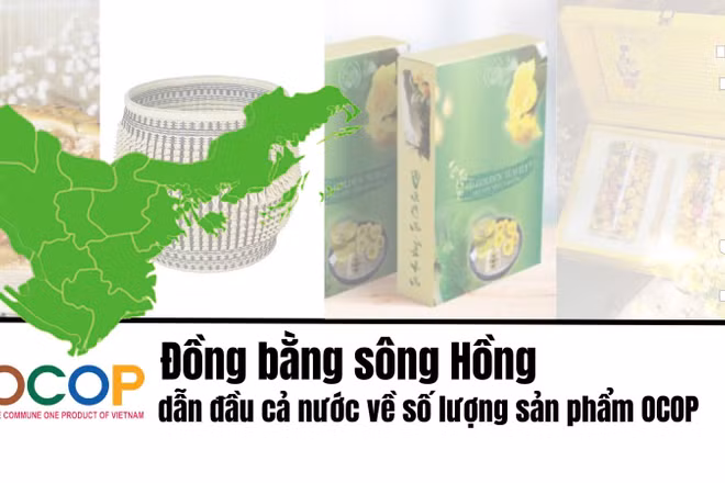 [Infographic] Đồng bằng sông Hồng dẫn đầu cả nước về số lượng sản phẩm OCOP