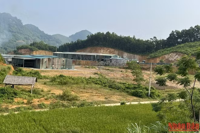 Một nhà xưởng hoành tráng mọc lên trên đất lâm nghiệp tại xã Quảng Chu.