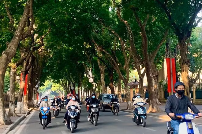 Ảnh minh họa.