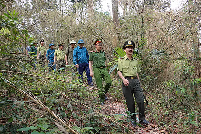 Hạt kiểm lâm huyện Sơn Dương phối hợp các đơn vị và người dân tuần tra rừng đặc dụng Tân Trào.