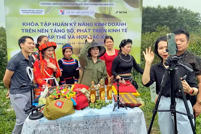 Thành viên của các Hợp tác xã trên địa bàn tỉnh tham gia các lớp nâng cao kỹ năng kinh doanh trên nền tảng số.