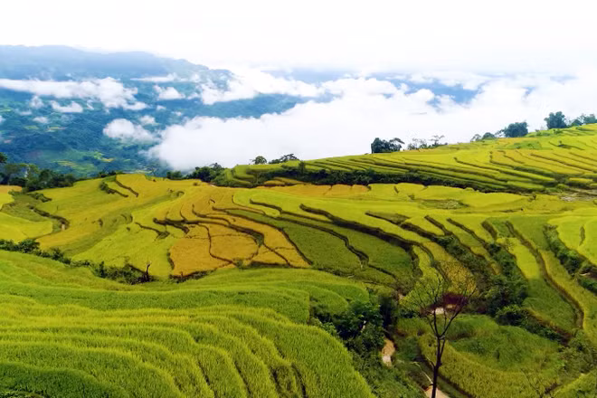 Ruộng bậc thang ở xã Hồng Thái, tỉnh Tuyên Quang. (Ảnh CHUNG-THẮNG)