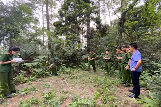 Khám nghiệm hiện trường vụ việc.