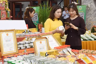 Kiểm tra xuất xứ nguồn gốc của sản phẩm tại hội chợ hàng OCOP Hải Phòng. (Ảnh KHÁNH AN)