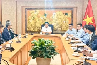 Phó Thủ tướng Nguyễn Chí Dũng làm việc với Hiệp hội Phát triển kinh tế bền vững Đài Loan (Trung Quốc). (Ảnh: TTXVN)