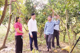 Mô hình vay vốn sản xuất giỏi ở xã Ba Bể, tỉnh Thái Nguyên.