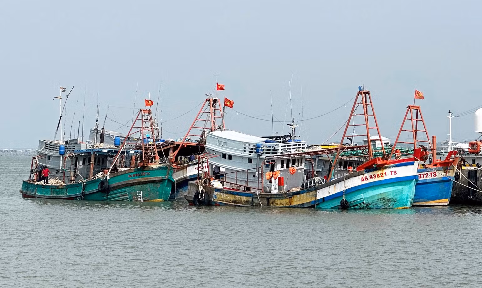 tau-ca-o-hai-doi-301.jpg