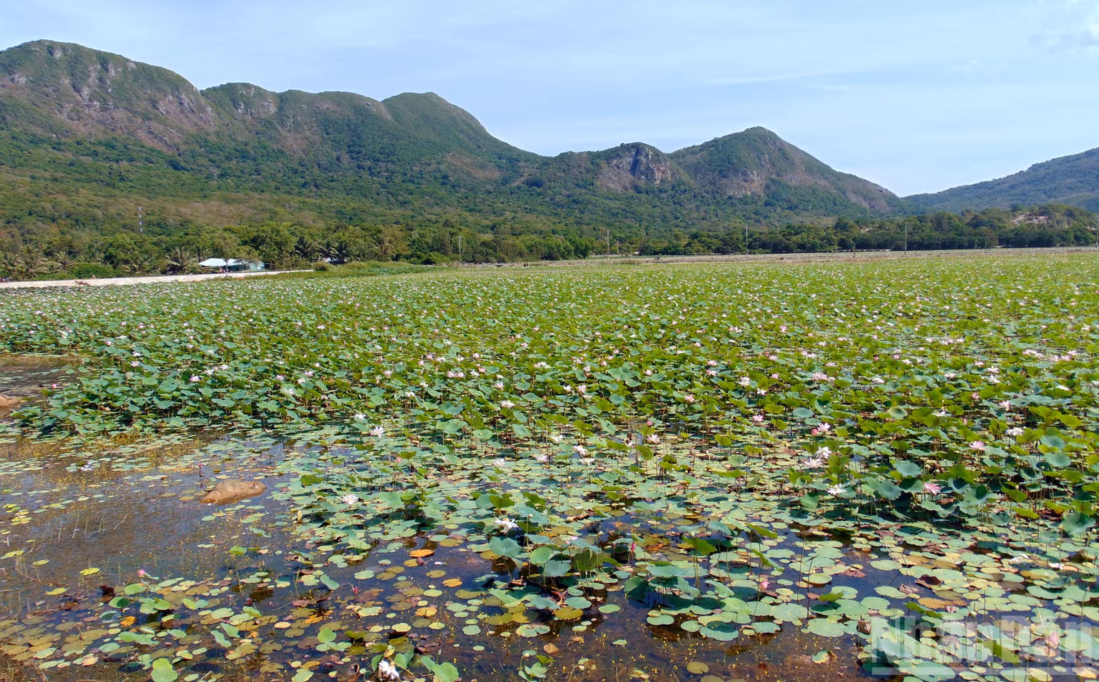 ndo_br_ho-an-hai-con-dao.jpg
