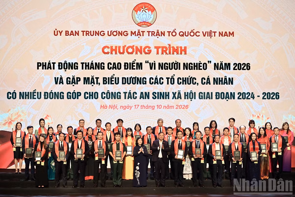 ndo_br_b816d33c1720977ece31.jpg