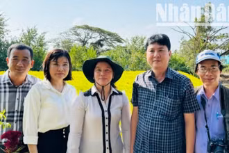 Phóng viên Báo Nhân Dân (bên phải) và các đồng chí lãnh đạo thành phố Bạc Liêu (cũ, nay là phường Bạc Liêu, tỉnh Cà Mau) thăm mô hình sản xuất hoa màu của đồng bào Khmer ở địa phương.