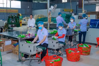 Xưởng đóng gói mì của Hợp tác xã Mì gạo Hùng Lô (phường Vân Phú, tỉnh Phú Thọ).