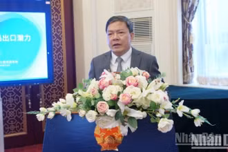 Tham tán Nông Đức Lai phát biểu tại Hội nghị.