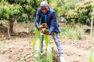 Nông dân Kenya đã biết ứng dụng công nghệ vào trồng trọt. Ảnh: THE GUARDIAN