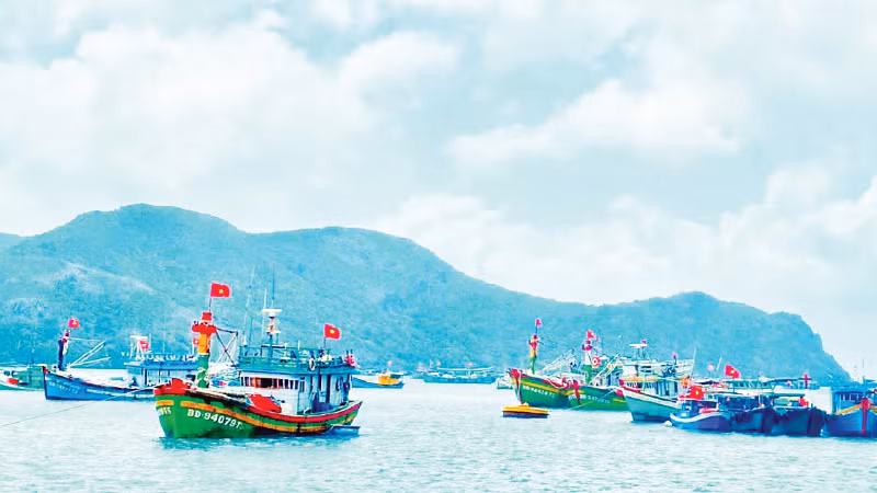 Tàu thuyền của ngư dân tấp nập ở cầu cảng Côn Đảo. (Ảnh PHẠM MỘNG)
