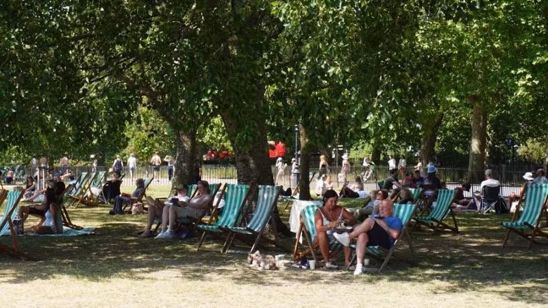 Người dân tìm bóng mát dưới những tán cây tại Công viên Hyde ở London, Anh. (Ảnh: Tân Hoa xã)