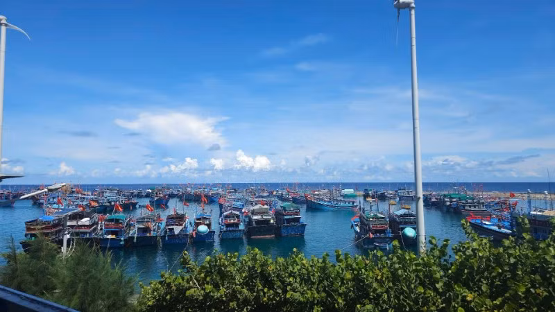 Âu tàu đảo Sinh Tồn, đặc khu Trường Sa bố trí sắp xếp tàu cá vào tránh trú bão.