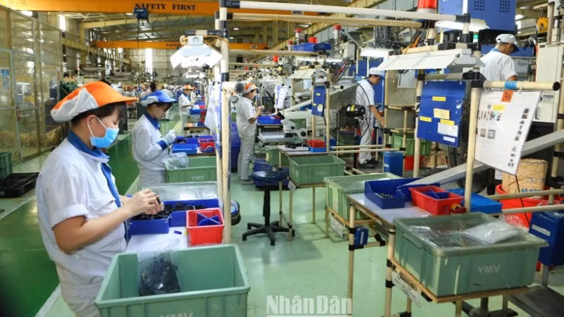 Ảnh minh họa: THÀNH ĐẠT