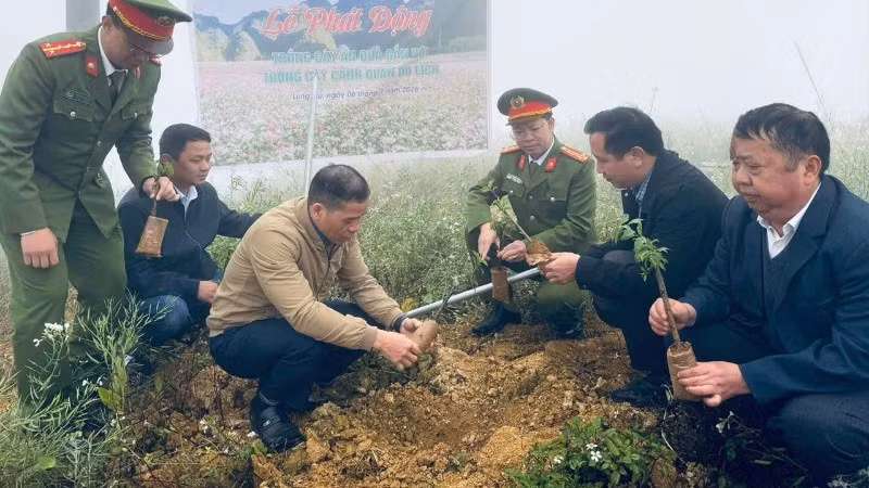 Xã Lũng Cú, tỉnh Tuyên Quang tổ chức phát động trồng cây ăn quả gắn với phát triển du lịch xanh.