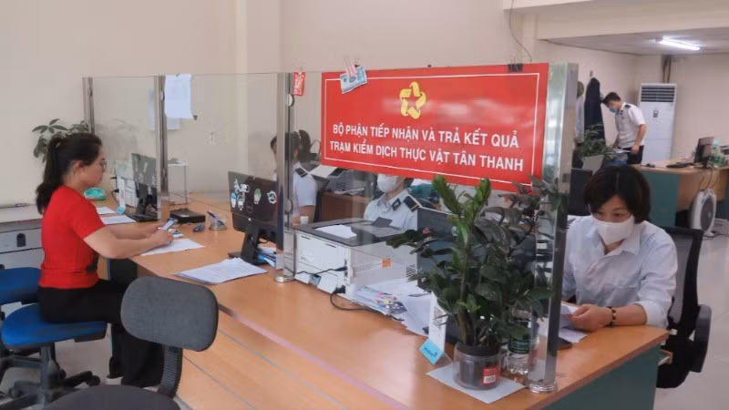 Hoạt động tiếp nhận hồ sơ kiểm dịch hàng nông sản trước khi xuất khẩu qua biên giới tại Trạm kiểm dịch thực vật Tân Thanh (Lạng Sơn).
