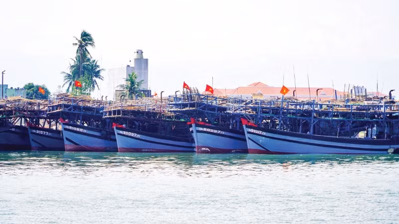 Hàng loạt tàu cá công suất lớn của các xã phía nam thành phố Đà Nẵng nằm bờ do giá xăng, dầu tăng cao.
