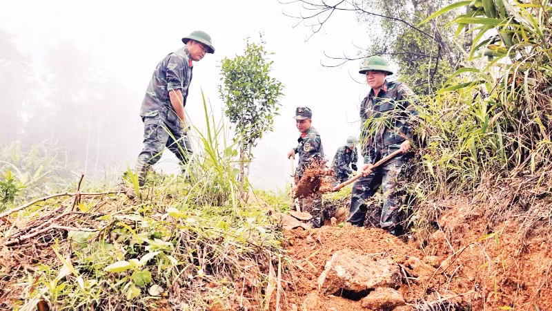 Đội tìm kiếm, quy tập hài cốt liệt sĩ đào hào tìm dấu vết liệt sĩ trên các điểm cao tại thôn Hoàng Lỳ Pả, xã Minh Tân, tỉnh Tuyên Quang.
