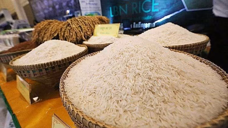 Campuchia có nhiều giống gạo ngon được thị trường quốc tế ưa chuộng. (Ảnh: Khmer Times)